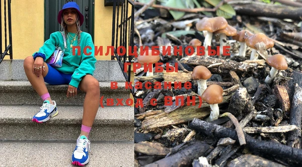 герыч Абаза