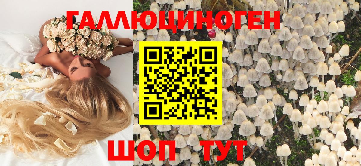 Псилоцибиновые грибы Magic Shrooms  Вход с VPN  Галлюциногенные грибы MAGIC MUSHROOMS  Магнитогорск 