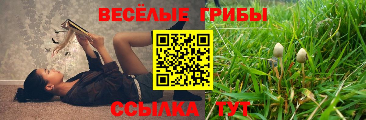 Гашиш  Магнитогорск  Вход с VPN  МДМА  APVP СК   Магазины продажи наркотиков  Конопля  Меф МЯУ МЯУ кристаллы  Метамфетамин 